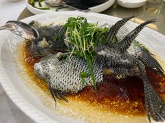 -丰尔粥食·顺德鱼生·干蒸排骨顺德菜(大良分店)