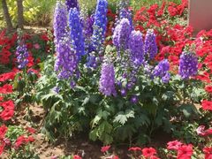 -武清南湖绿博园