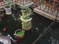 -农轩·醉黄冈