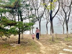 -大兴滨河森林公园