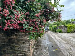 -三溪村