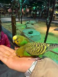 -酷嗒动物文化乐园(cutezoo西溪乐天城店)