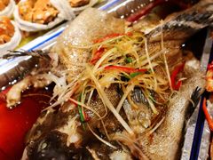 -日进一片海.生腌海鲜火锅.宵夜烧烤(三里屯总店)