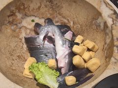 -云海肴云南菜·蒸汽石锅鱼(青岛万象城店)