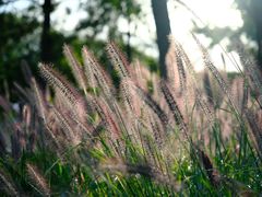 -汉长安城未央宫国家考古遗址公园