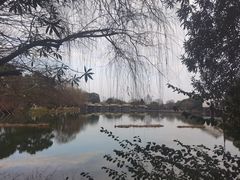 -乌镇景区