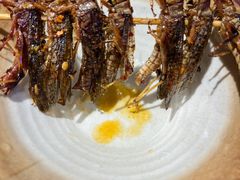 -唐力九头鸟烧烤·罗田吊锅(西云楼店)