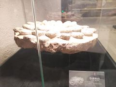 -中华赏石园