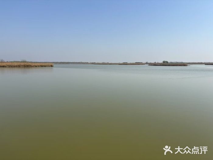 盐城丹顶鹤湿地生态旅游区图片