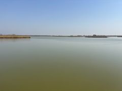 -盐城丹顶鹤湿地生态旅游区