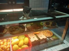 android_upload_pic-MIKAKU(万达广场上海宝山店)