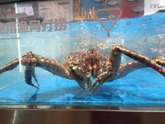 -盒马鲜生(领丰汇店)