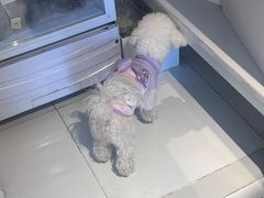 -小意思咖啡店(草桥店)