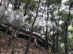 -石燕湖生态旅游景区