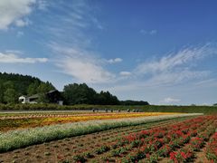-富田农场
