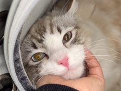 -爱诺耐芙动物医院(万博店)