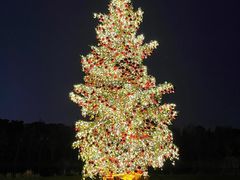 -养云安缦吧THE BAR