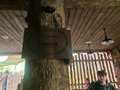 -珠海长隆海洋王国-鹦鹉过山车