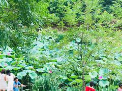 -奥林匹克森林公园北园-停车场