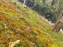 -南京市江宁方山