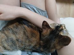 -北京恒爱动物医院(清景园分院)