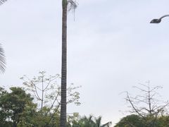 -四海公园(南山区)