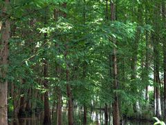 -孔雀湖生态旅游区