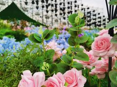 -长沙滨江文化园