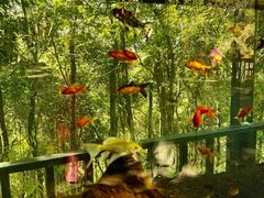 -孔雀湖生态旅游区