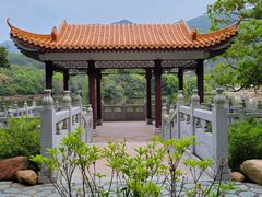 -深圳仙湖植物园