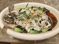-国惠大酒楼(宝龙店)