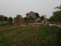 -丹樱生态园
