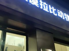 -宠颐生汉谟拉比宠物医院