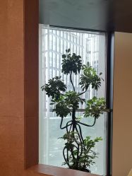 点击看大图 -上海时光整形外科医院