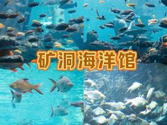 -长鹿旅游休博园