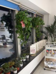 -丽心自助美甲美睫