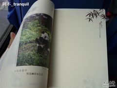 -熊猫屋(宽窄巷子景区店)