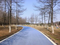 -宜兴龙背山森林公园