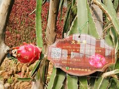 -南通洲际绿博园