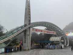 -南山植物园
