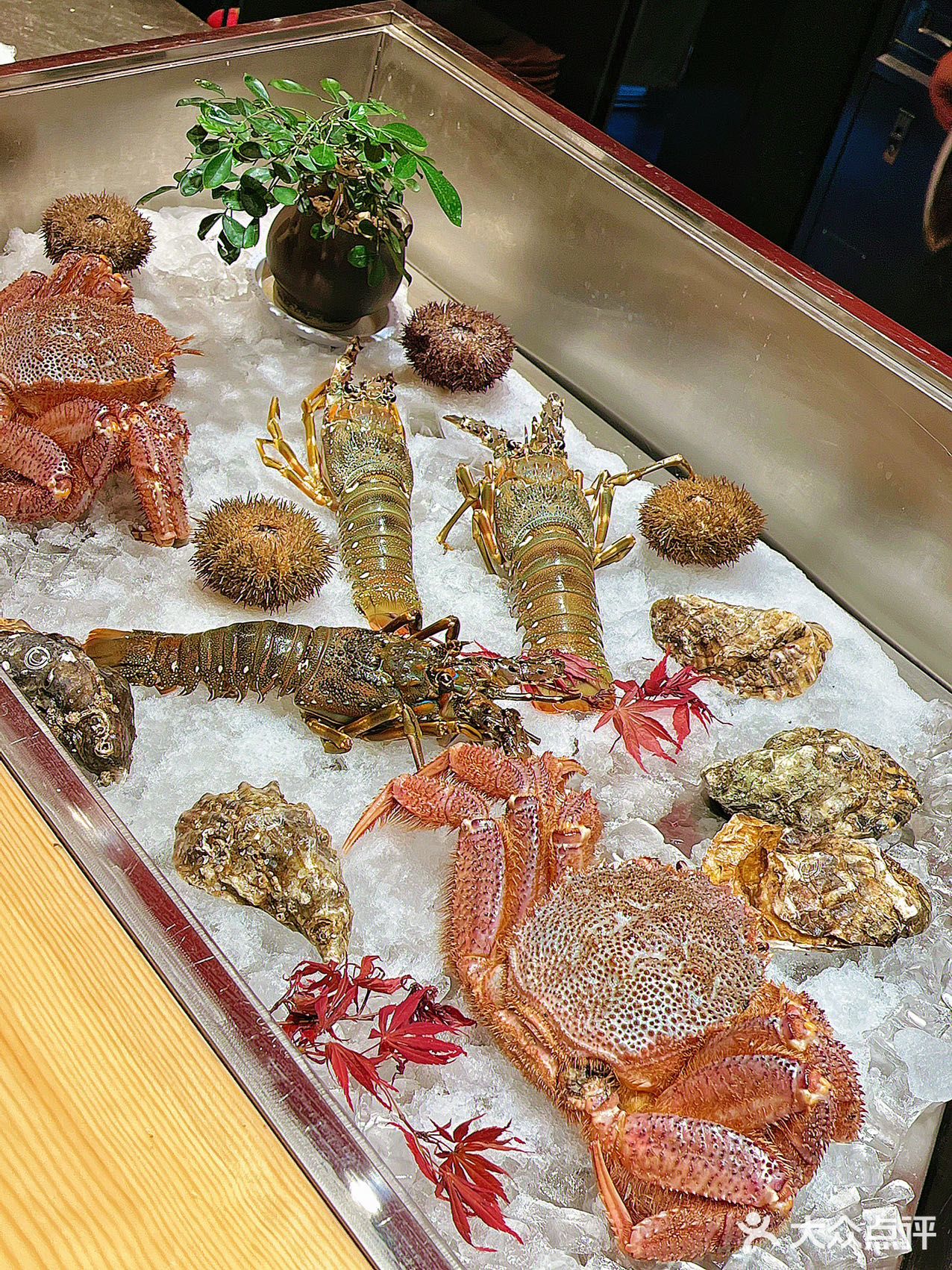 西安📍值得N刷的日料店🍣氛围赞爆了