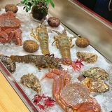 西安📍值得N刷的日料店🍣氛围赞爆了