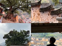 -杨家堂村