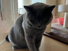 -Me Coffee下午茶艺术空间