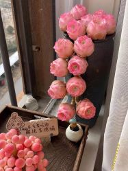 -Oasis Beauty水磨坊科技美肤中心