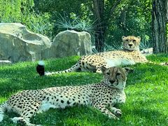 -北京野生动物园