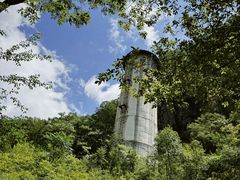 -牛背梁国家森林公园