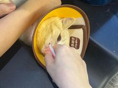 -御宝贝·A梦猫科宠物医院(国际猫友好医院)