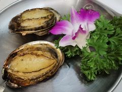 -白仁仔· 活烤海鲜 宵夜(豫园店)