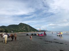 -台山黑沙湾海浴场